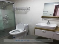 其它图