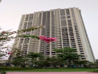 其它图