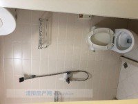 其它图