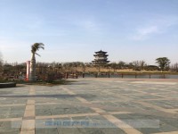 其它图