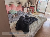 其它图