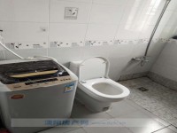 其它图