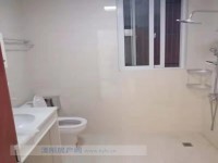 其它图