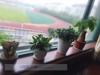 其它图