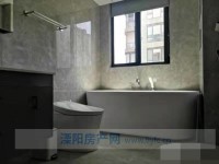 其它图