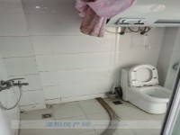其它图