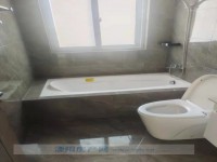 其它图