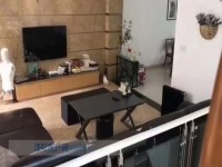 其它图