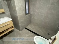 其它图