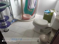 其它图