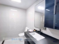 其它图