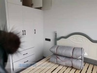 其它图
