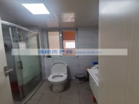 其它图