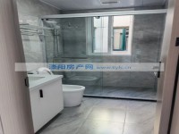 其它图