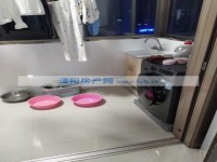 其它图