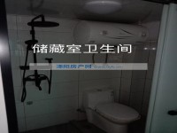 其它图