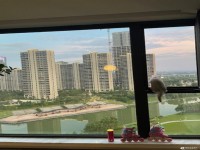 其它图