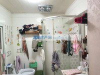 其它图