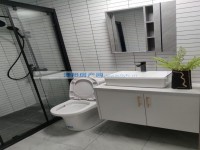 其它图