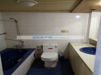 其它图