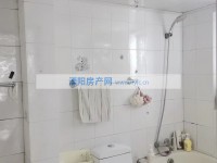 其它图