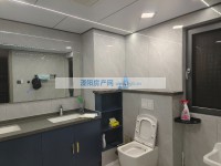 其它图