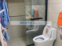 其它图