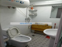 其它图