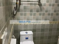 其它图