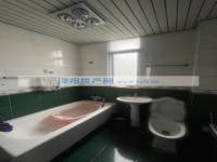 其它图