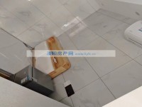 其它图