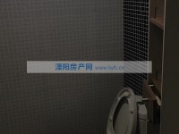 其它图