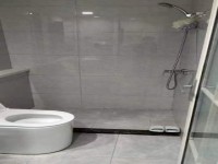 其它图