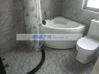其它图