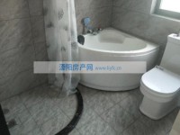 其它图