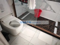 其它图