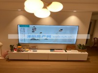 其它图
