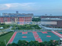 其它图