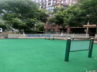 其它图