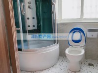 其它图