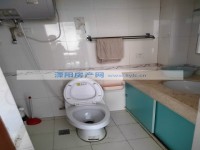 其它图