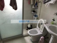 其它图