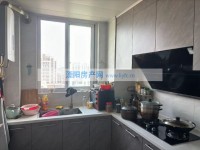 其它图