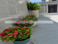 其它图
