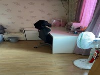 其它图