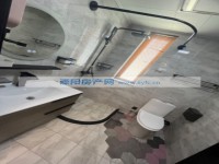 其它图
