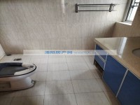 其它图