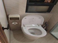 其它图