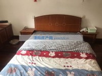 其它图