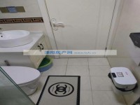 其它图